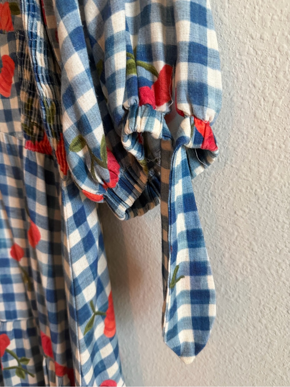 FARM Rio Blue and White Gingham Maxi Dress with Red Floral Accents - Picture 2 of 10